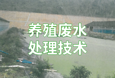 【環(huán)保干貨】養(yǎng)殖廢水如何處理？4個(gè)方法，快看你的豬場(chǎng)適合哪一種