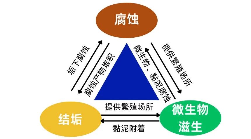 80ed0652f111ee28304dc12af90d3ab6.jpg 80ed0652f111ee28304dc12af90d3ab6.jpg